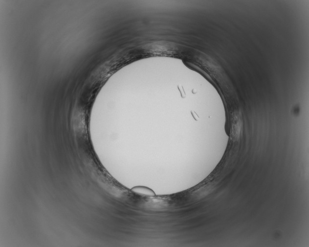 X0000115190573200912091113