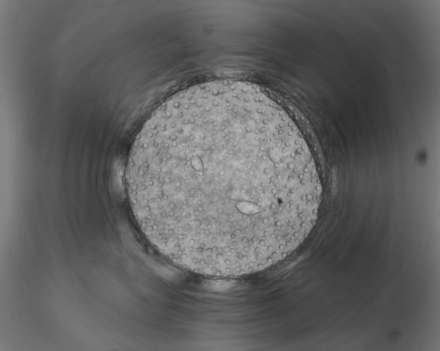 X0000115190575200912091113