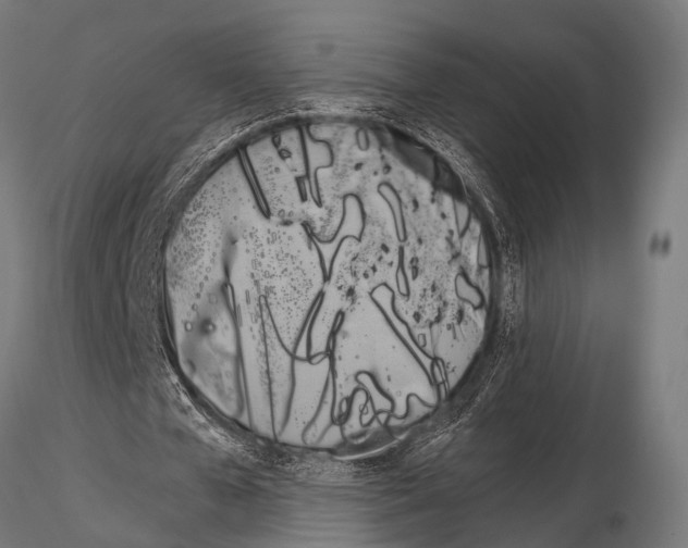 X0000115190577200912091112