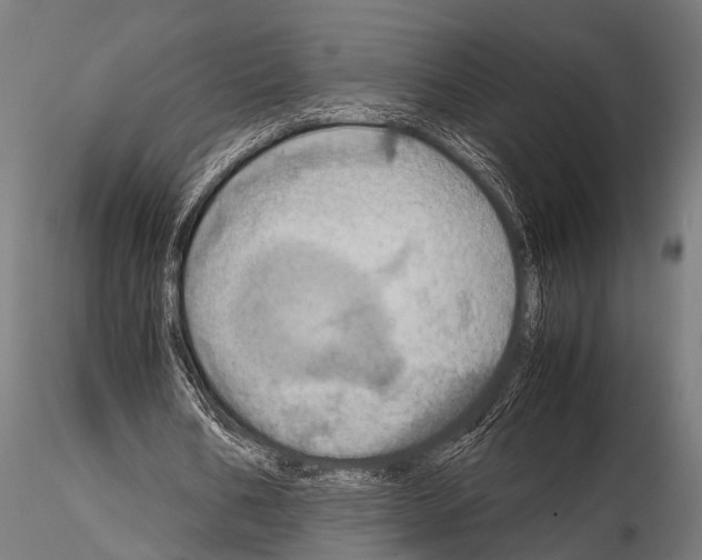 X0000115190578200912091112