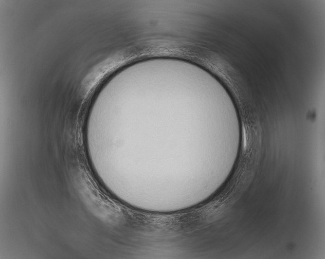 X0000115190579200912091112