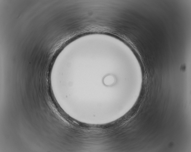 X0000115190581200912091112