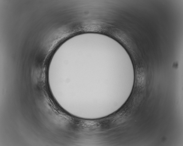 X0000115190583200912091112