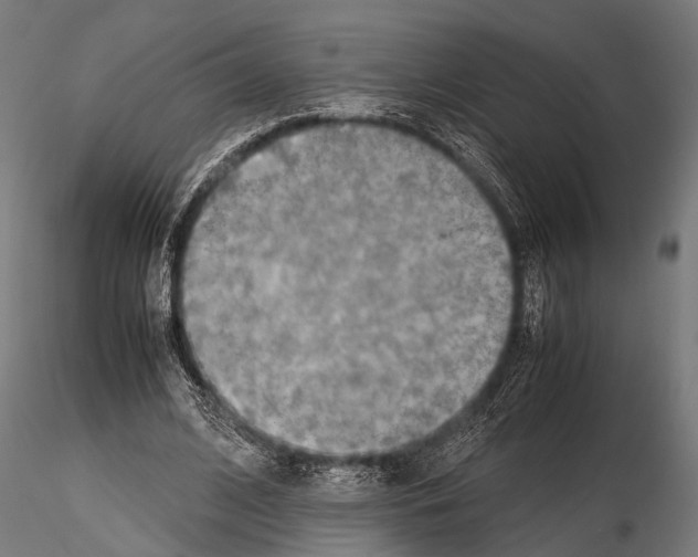 X0000115190584200912091112