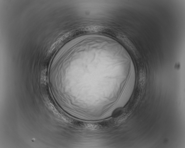 X0000115190585200912091112