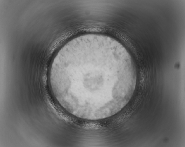 X0000115190586200912091112