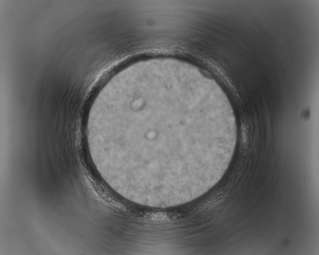 X0000115190588200912091112