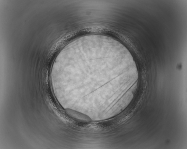 X0000115190589200912091112