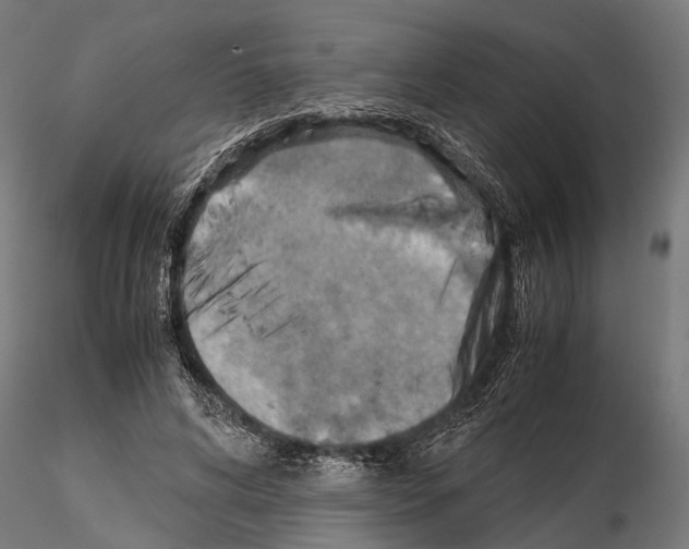 X0000115190592200912091112