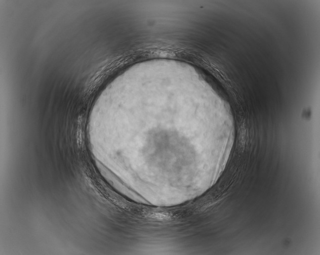 X0000115190594200912091112