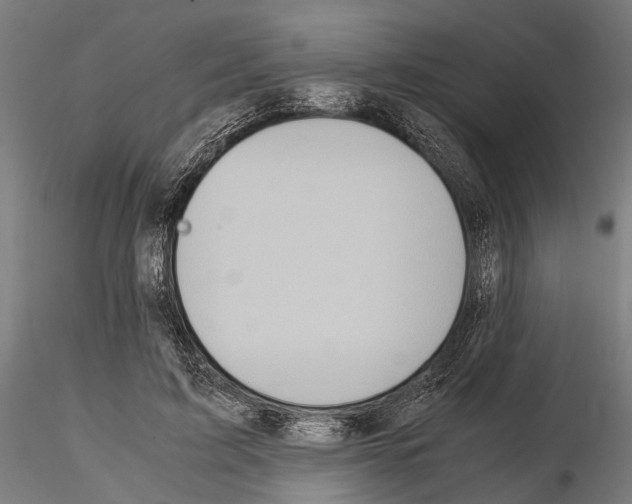 X0000115190595200912091112