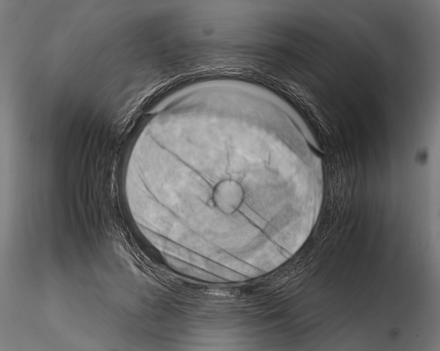 X0000115190596200912091112