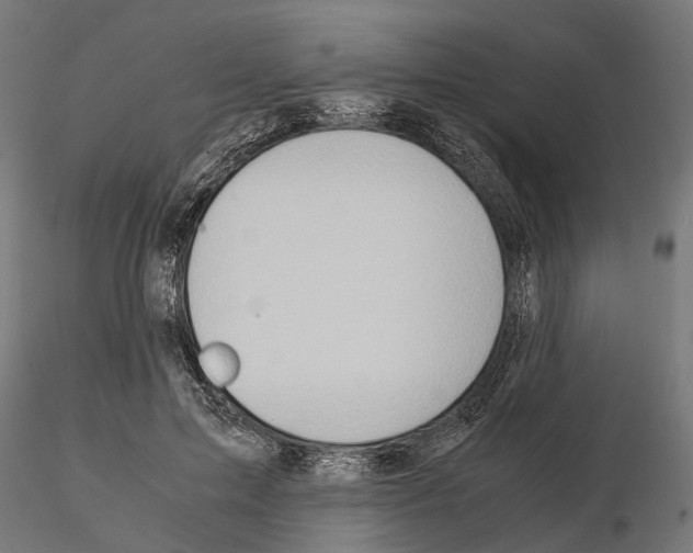 X0000115190599200912091112