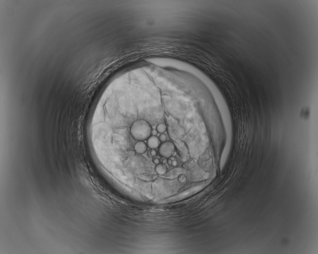 X0000115190600200912091112