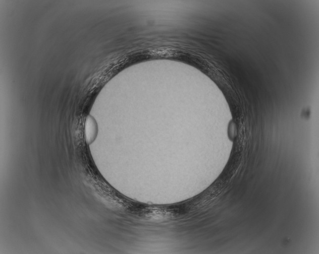 X0000115190601200912091112