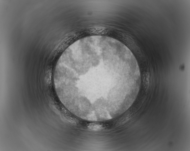 X0000115190602200912091112