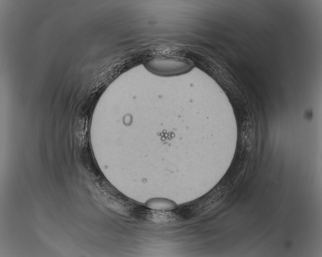 X0000115190605200912091112