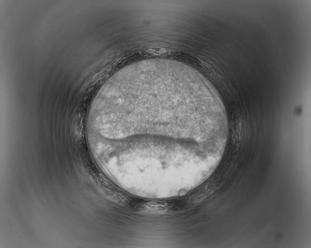 X0000115190606200912091112