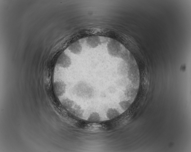 X0000115190607200912091112