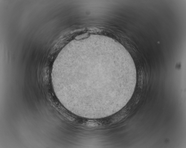 X0000115190608200912091112