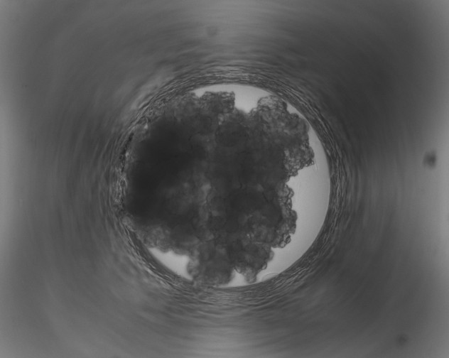 X0000115190609200912091112