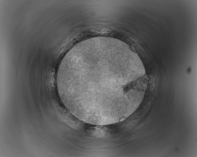 X0000115190612200912091112