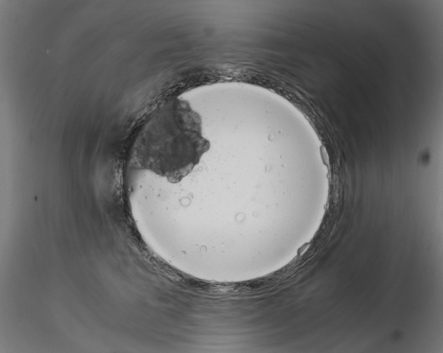 X0000115190613200912091112