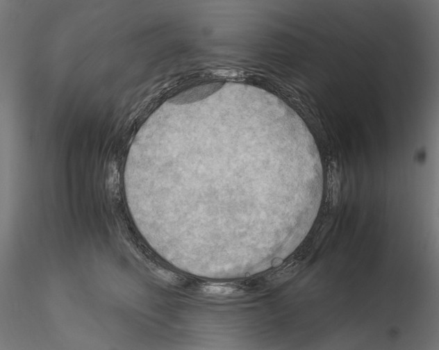 X0000115190614200912091112