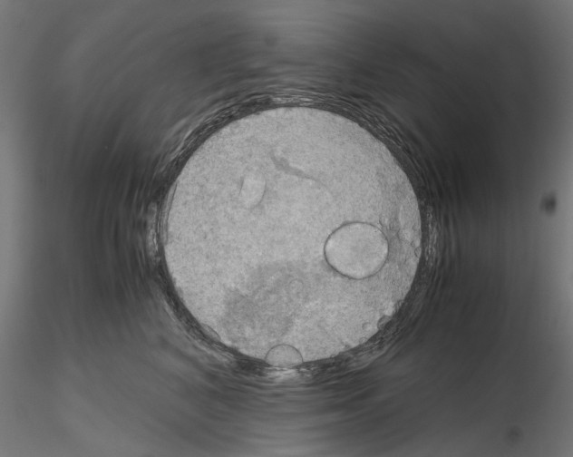 X0000115190616200912091112