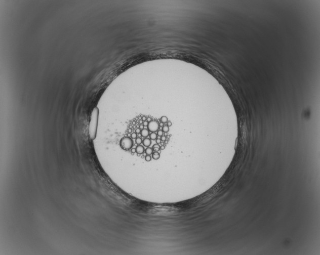 X0000115190617200912091112