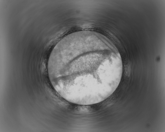 X0000115190618200912091112