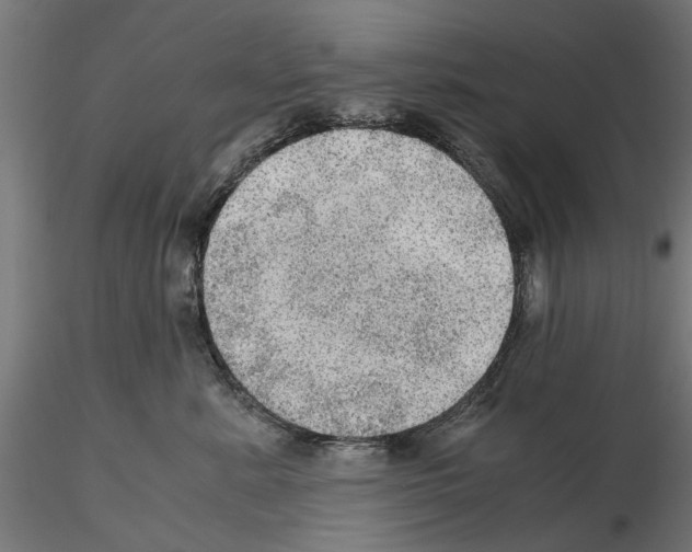 X0000115190619200912091112