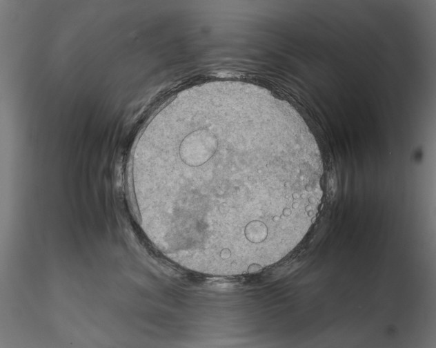 X0000115190620200912091112