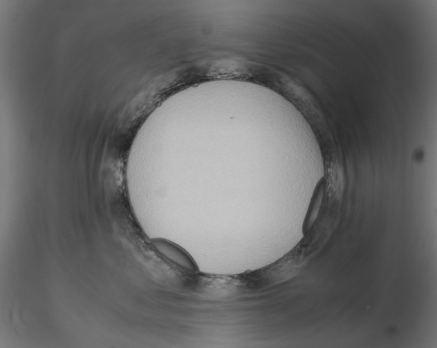 X0000115190621200912091112