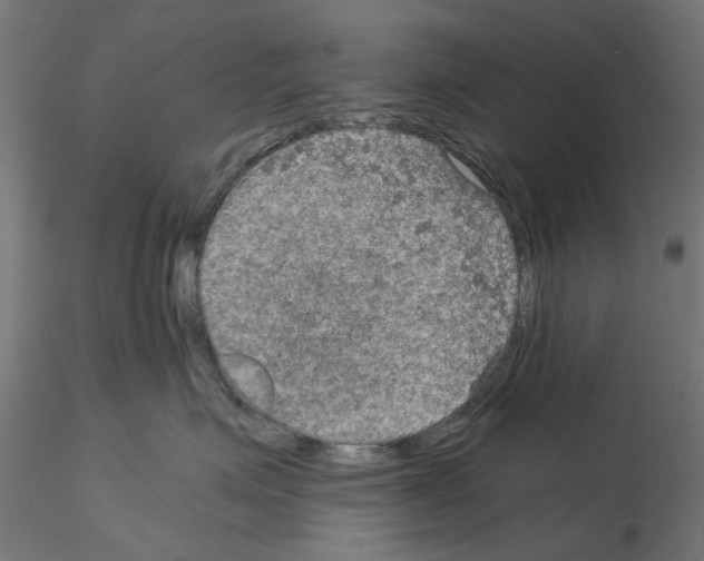 X0000115190623200912091112