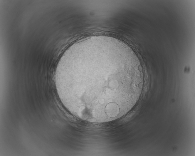 X0000115190624200912091112