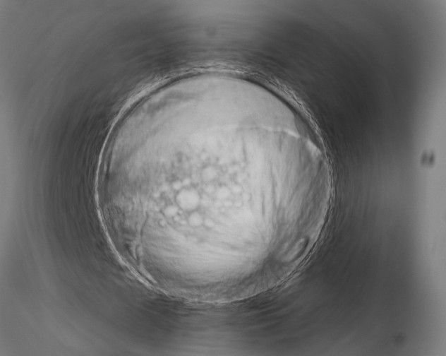 X0000115190625200912091111