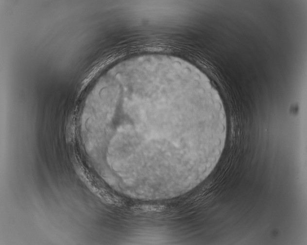 X0000115190626200912091111