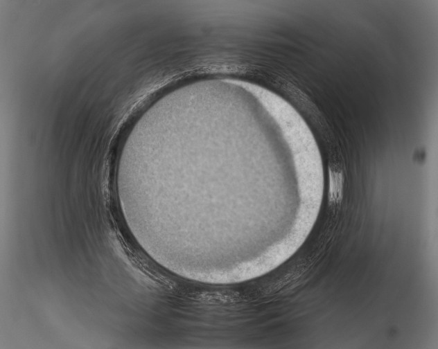 X0000115190627200912091111