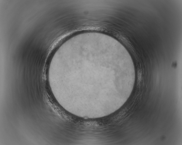 X0000115190628200912091111