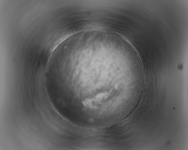 X0000115190629200912091111