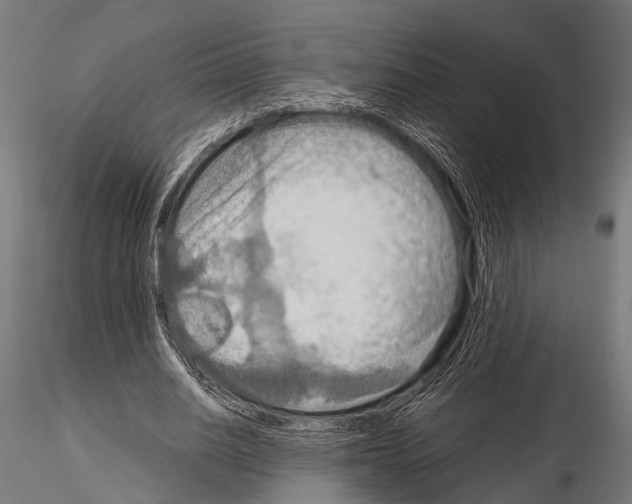 X0000115190630200912091111