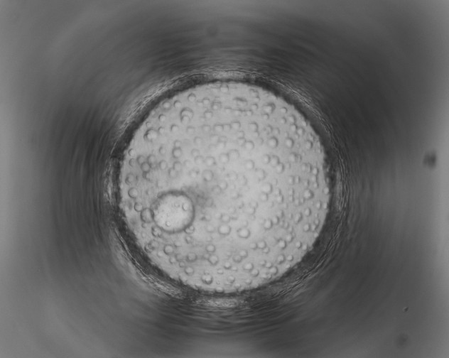 X0000115190631200912091111