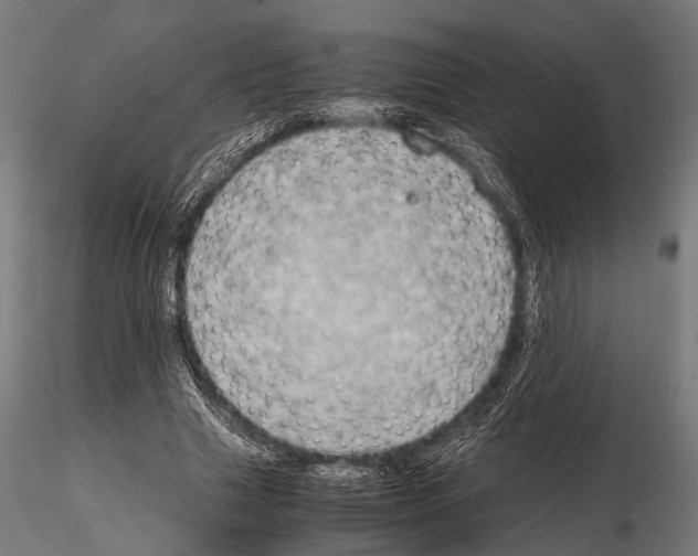 X0000115190633200912091111