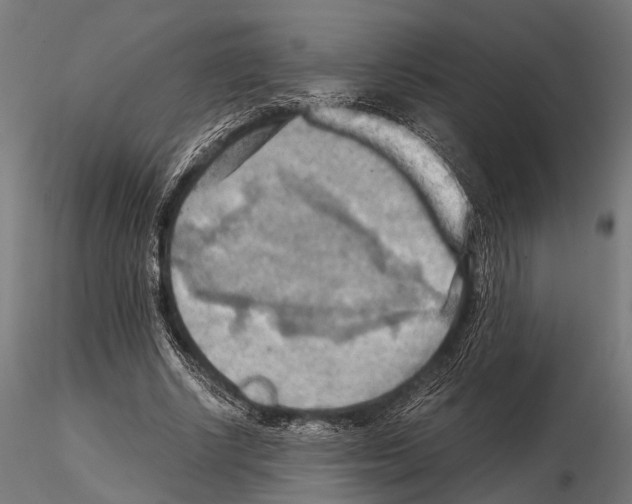 X0000115190634200912091111