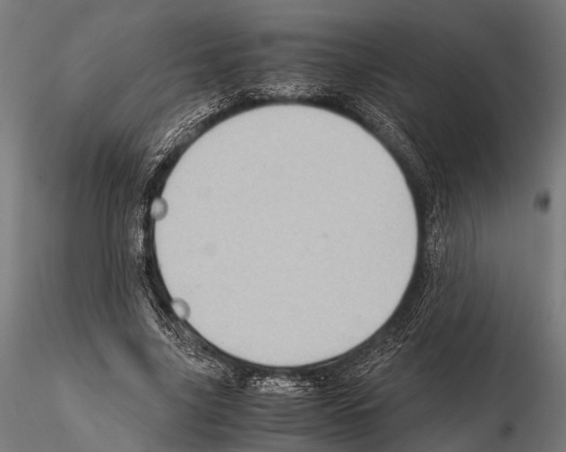 X0000115190635200912091111