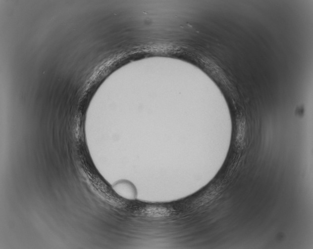 X0000115190636200912091111