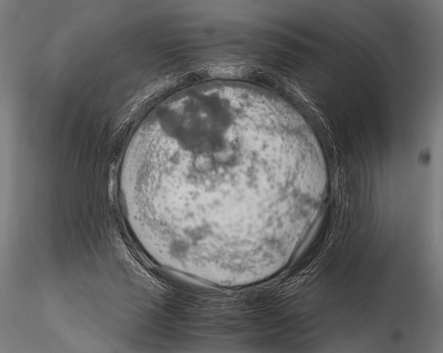 X0000115190637200912091111