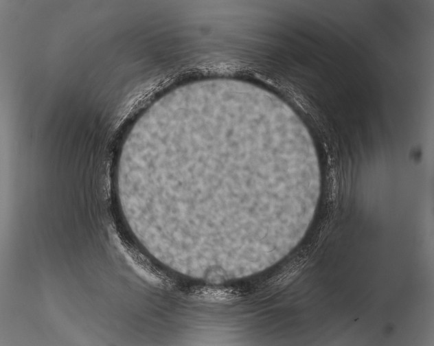 X0000115190638200912091111