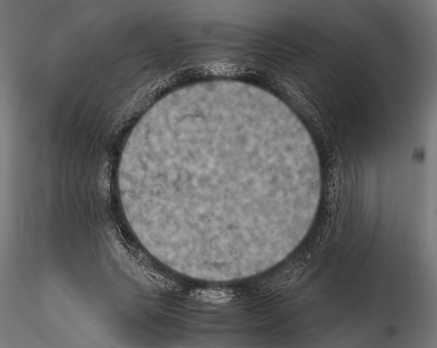 X0000115190639200912091111